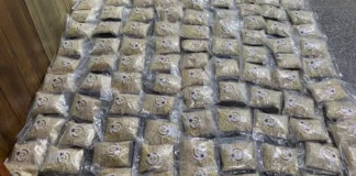 Iraq Captagon Crackdown Nets 51kg in Major Drug Raids
