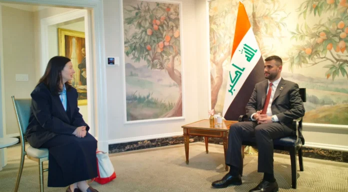 Iraq Turns to U.S. for Urgent Power Crisis Solutions