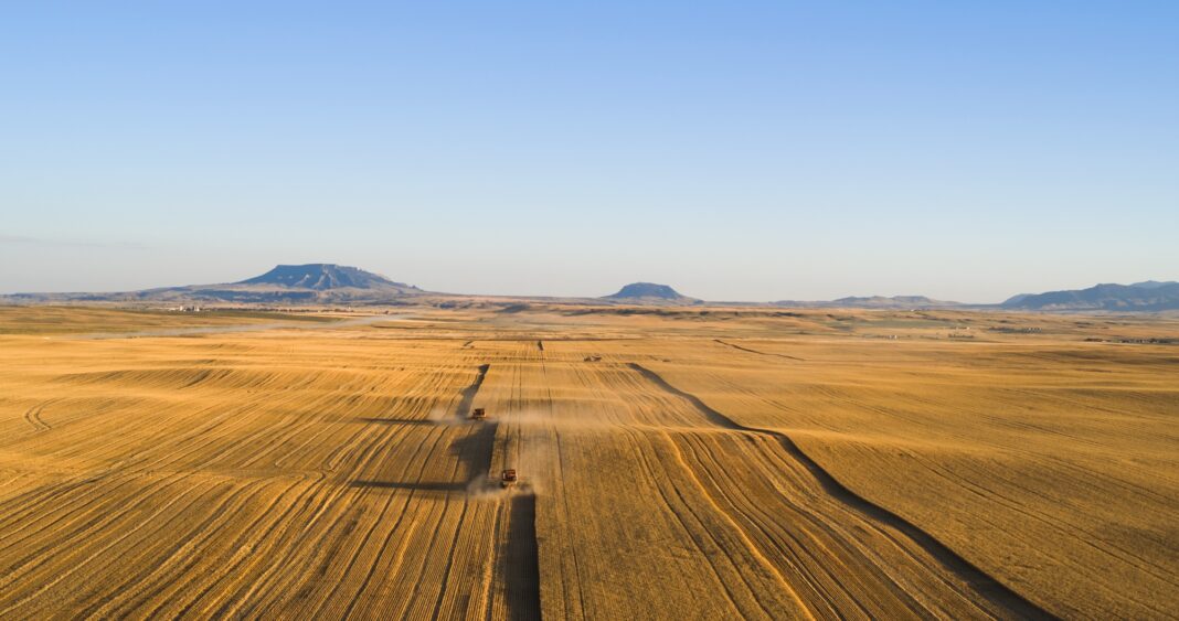 Iraq Wheat Deliveries Hit 4.8M Tons, Securing Food Supply